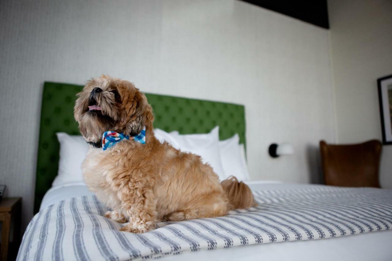 Origin Lexington, A Wyndham Hotel Eksteriør billede
